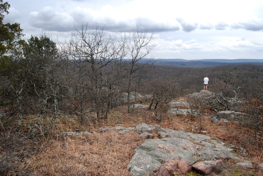 Bell Mountain Wilderness Tagged Ozarks Walkabout