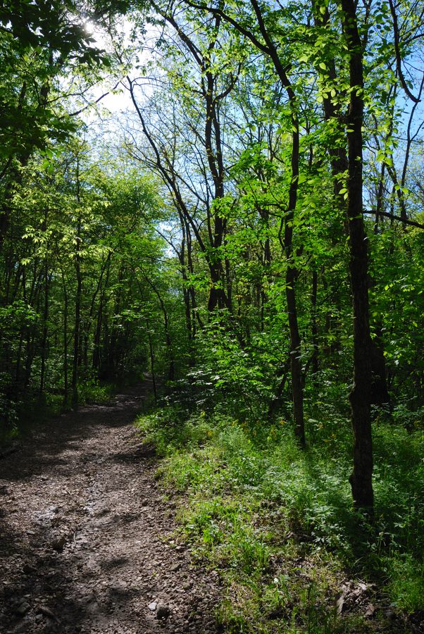 Photo gallery Busiek State Forest and Wildlife Area Ozarks Walkabout