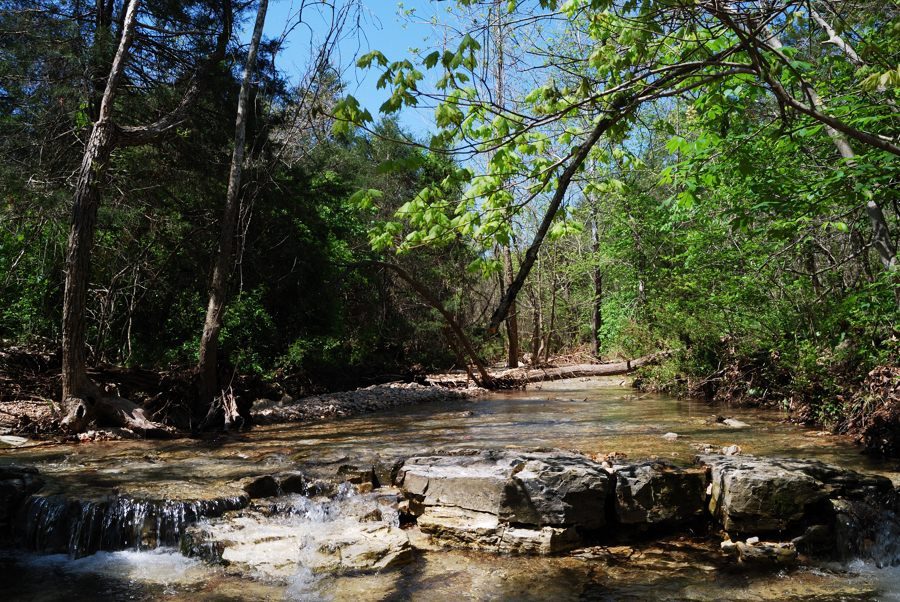 Photo gallery Busiek State Forest and Wildlife Area Ozarks Walkabout