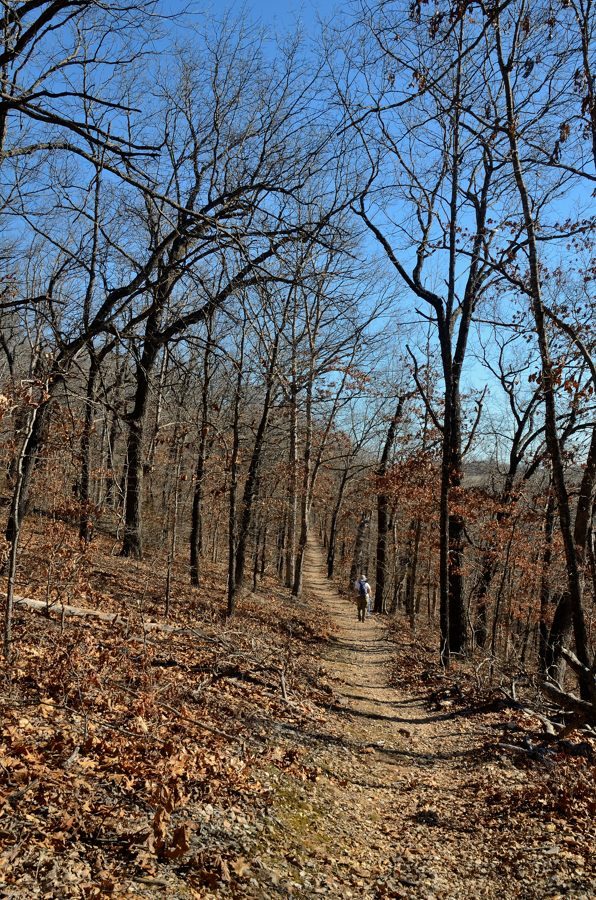 Photo gallery Busiek State Forest and Wildlife Area Ozarks Walkabout