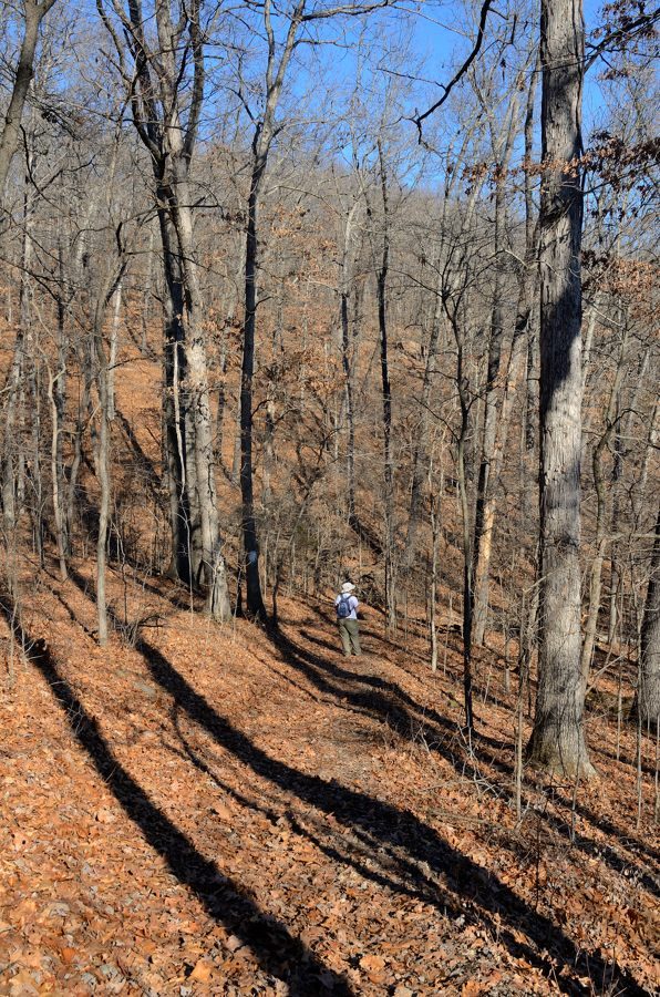 Photo gallery Busiek State Forest and Wildlife Area Ozarks Walkabout