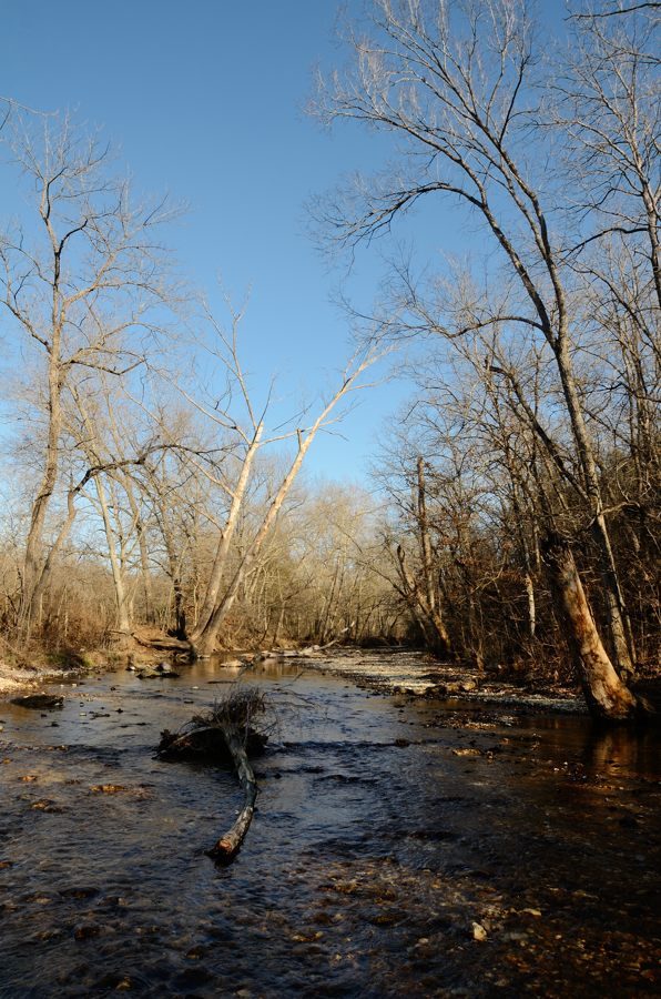 Photo gallery Busiek State Forest and Wildlife Area Ozarks Walkabout