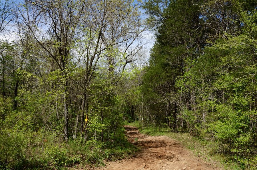 Photo gallery Busiek State Forest and Wildlife Area Ozarks Walkabout