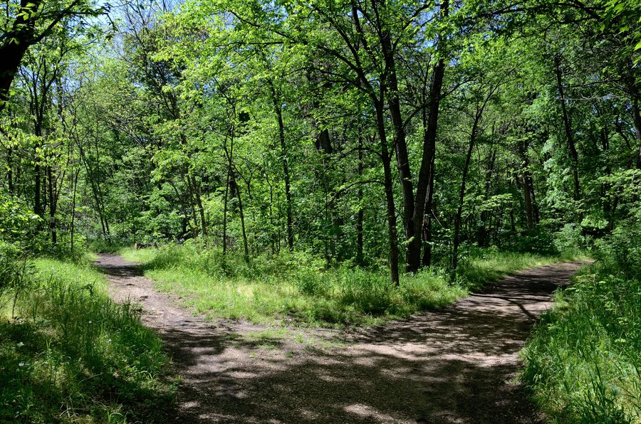 Busiek State Forest and Wildlife Area White Trail Ozarks Walkabout