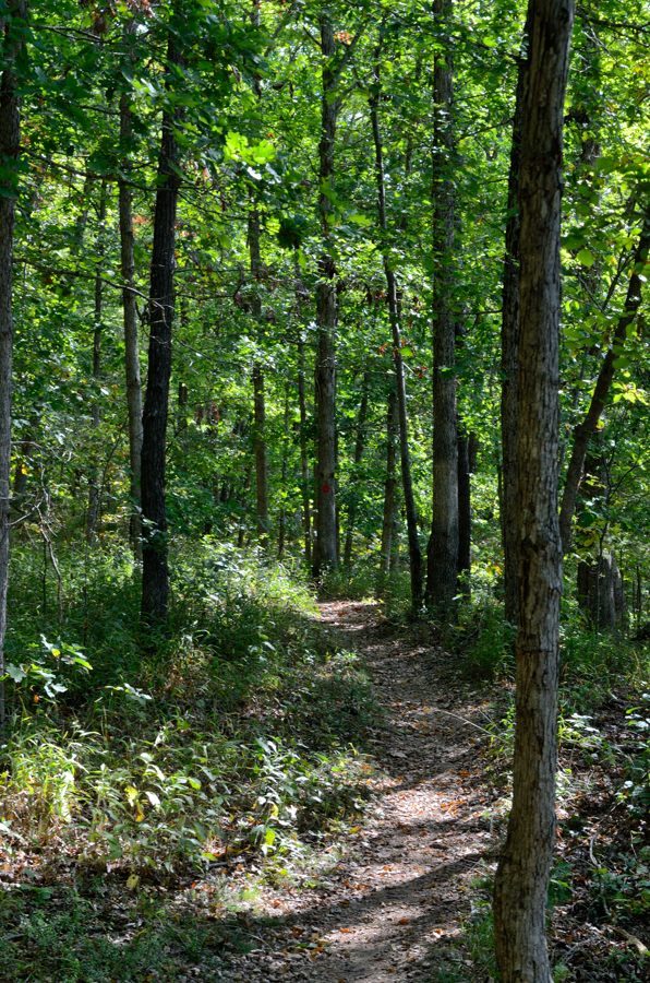 Photo gallery Busiek State Forest and Wildlife Area Ozarks Walkabout