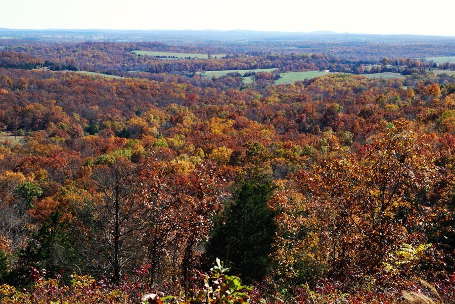 Glade Top Trail Mark Twain National Forest Taney County & Ozark
