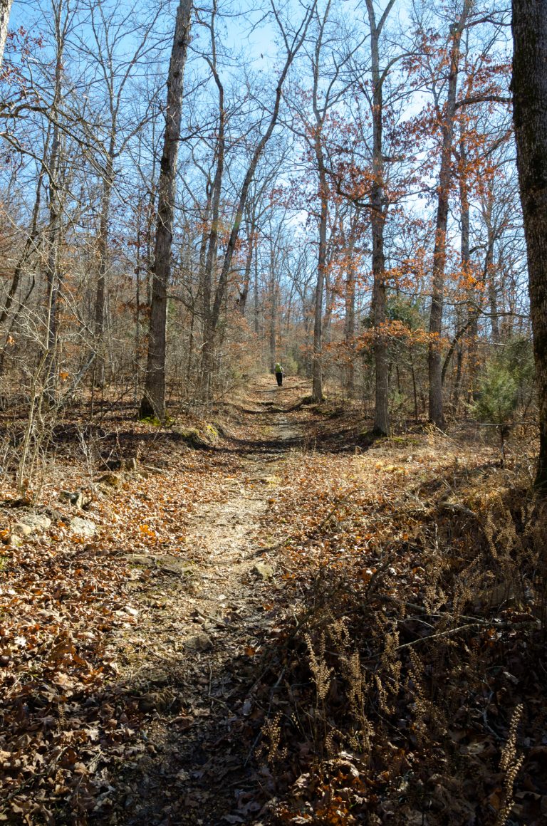 Busiek State Forest and Wildlife Area Tagged Ozarks Walkabout